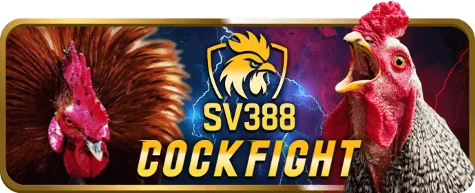 Hoàn trả hàng tuần yo888